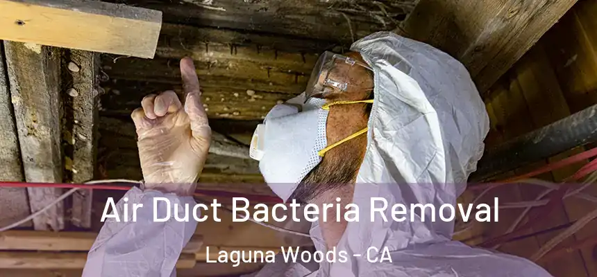 Air Duct Bacteria Removal Laguna Woods - CA