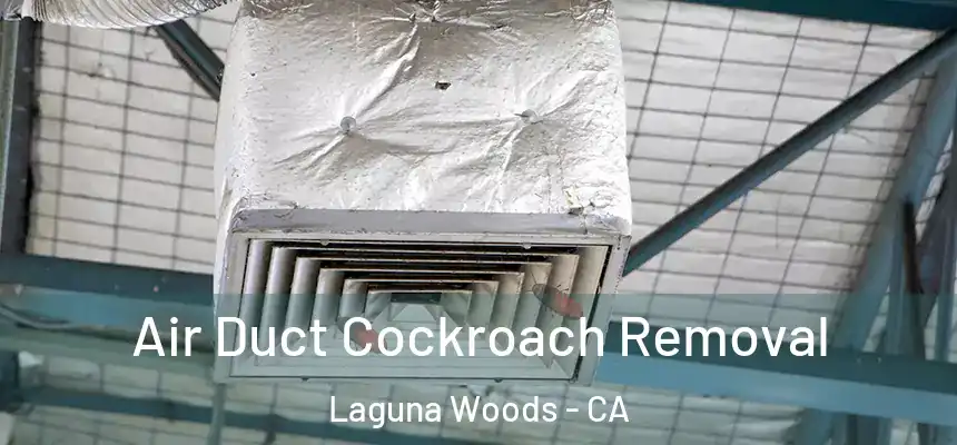  Air Duct Cockroach Removal Laguna Woods - CA