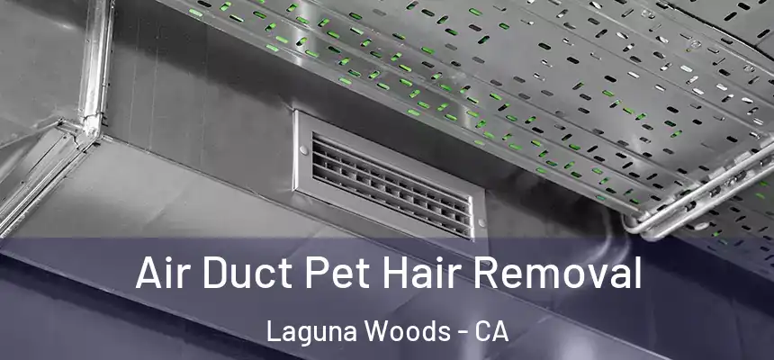  Air Duct Pet Hair Removal Laguna Woods - CA