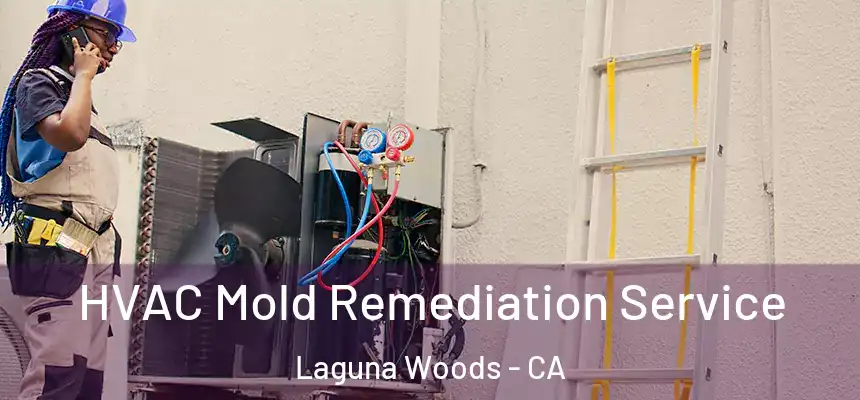 HVAC Mold Remediation Service Laguna Woods - CA