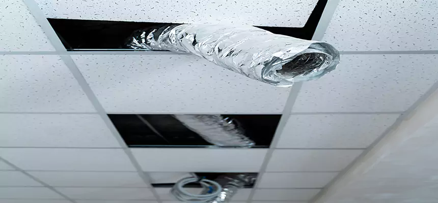 Our Air Duct Pet Hair Removal Services in Laguna Woods, CA