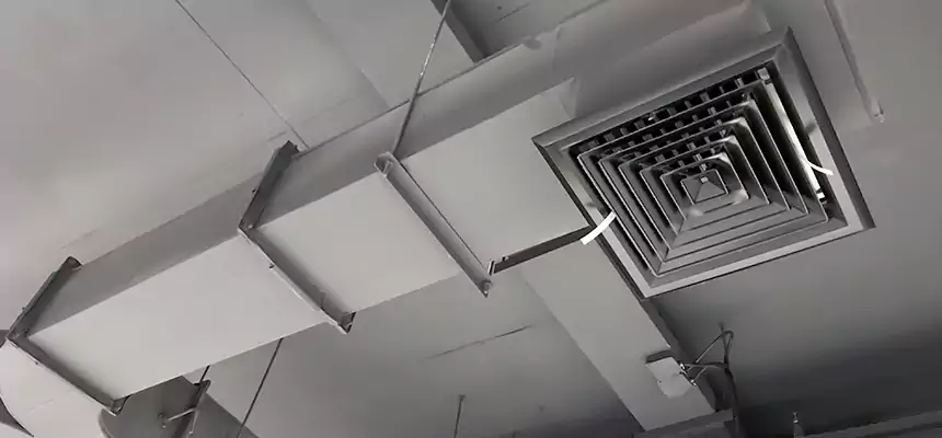 Restorative Allergy Relief Vent Cleaning – Coil, Blower & Housing Detail in Laguna Woods