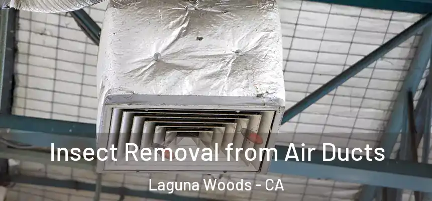  Insect Removal from Air Ducts Laguna Woods - CA