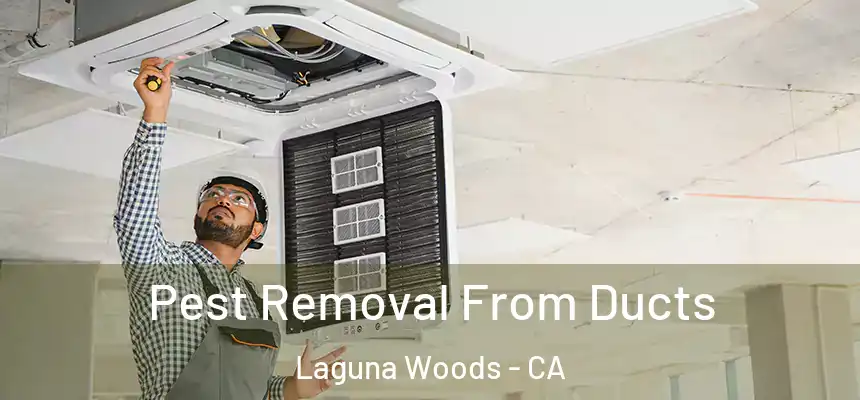 Pest Removal From Ducts Laguna Woods - CA