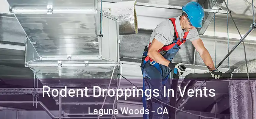 Rodent Droppings In Vents Laguna Woods - CA