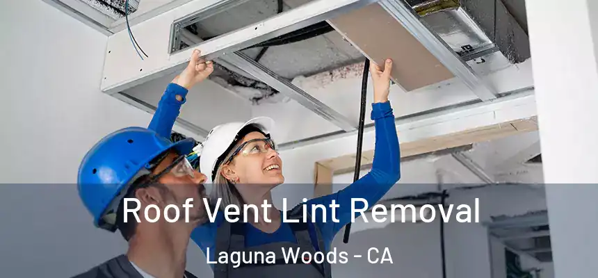 Roof Vent Lint Removal Laguna Woods - CA