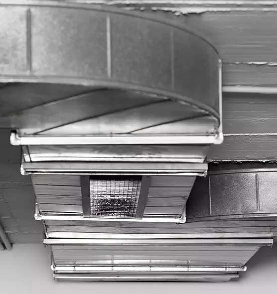 Professional Air Duct Pet Hair Removal in Laguna Woods, CA