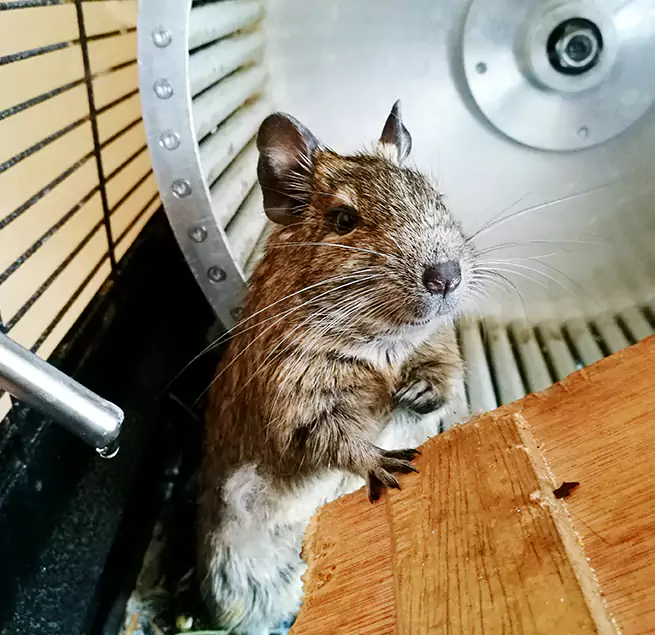 Why Homeowners & Businesses Trust Us Laguna Woods, CA?