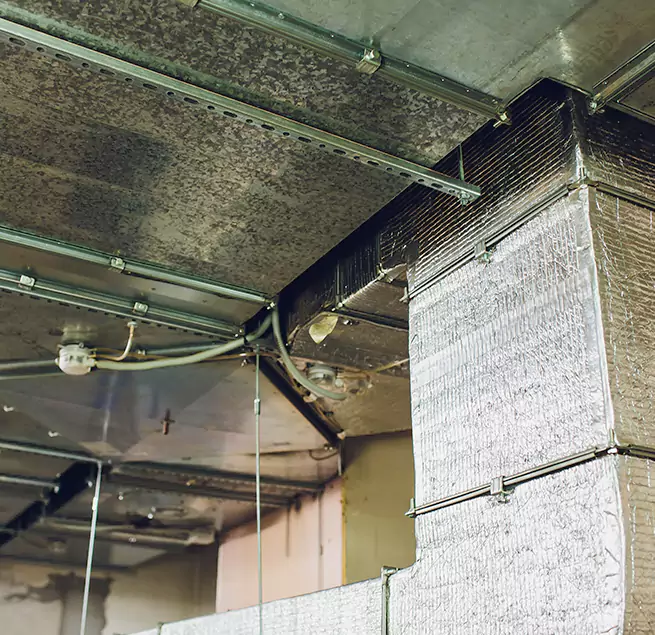 Why Homeowners & Businesses Trust Us in Laguna Woods, CA?